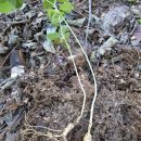 제삼농장 이미지