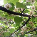 화자농장 이미지