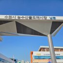 수원 수산시장 킹크랩, 랍스타 후기