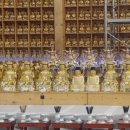 서귀포의료원장례식장 이미지