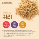 밥하루 이미지