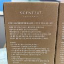 센트247 | 차량용 디퓨저 내돈내산 센트 247 후기
