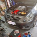 오토엘리펀트 이미지