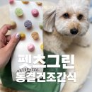 펫츠그린 동결건조간식 기호성좋은 수제간식 급여후기