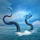 오가닉플러스 이미지