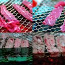 명품한우육회 이미지