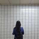 프론트월넛