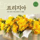 원일농장 이미지