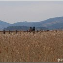 진목마을 이미지