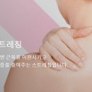 엠브이엠 이미지
