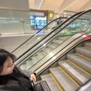 흰바위로59번길 | 술과 짠음식들아 안녕~? 도쿄 자유여행 3박 4일 후기~.~ (계획 없는 여행/구글지도)