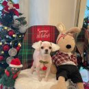 딱이네미용실 이미지