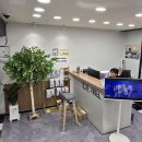 폰나무
