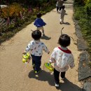 4월 3주 특성화 [베베꿈틀: 곤충채집] 이미지