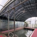 퀸 당구장 | 대부도 독채펜션 &lt;로마의 휴일&gt;에서 가족모임하고 온 솔직후기