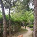 [야간]단전호흡 이미지