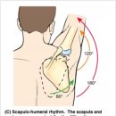 리미티드 짐 이미지