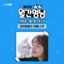 써니라이브 이미지