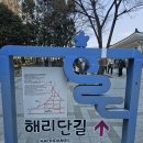 바다랜드 | [내돈내산] 부산 해운대 해리단길 '부산바다샌드랜드'