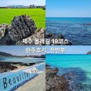 제주 올레길 19코스 | 국내여행#(72)(제주도) 제주올레길 19코스_전반부