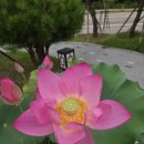 공명목장 이미지