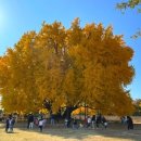 문막시장1길 이미지