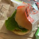 뉴코아주차장앞~과천타워 이미지