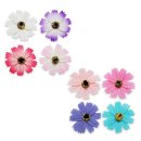 코스모스 어린이집 이미지