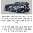 제주도 카캐리어탁송 제주올레전국탁송 제주탁송잘하는곳 믿을수있는 정직한 탁송업체