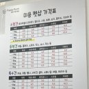 퍼피루미 이미지