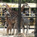 기린PC방 이미지