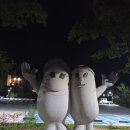 큰솔펜션 | [거제 여행 숙소 추천] 바다와 가장 가까운 힐링 공간, 큰솔펜션