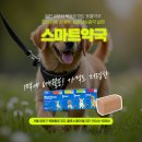 양천동물약국 이미지