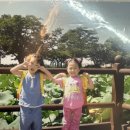 그린빌창의어린이집 이미지