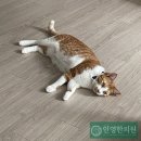 인영한의원 이미지