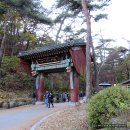 용문산국민관광지 박물관(1층) 이미지