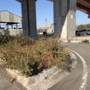 송포체육공원 이미지