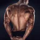 머스트 핏 이미지