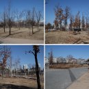 한강근린공원 이미지