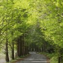 수원천로428번길 이미지