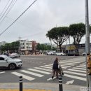 부산새벽시장 | 아는 사람만 가는 대구 달성공원 새벽시장 주차 후기