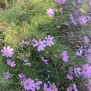 서천휴리조트(몬드리안동) 이미지