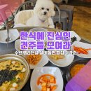 댕댕수라간 | [수원 행궁동 애견동반 식당_수라간] 강아지랑 청국장 가능?