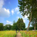 어린이대공원 이미지