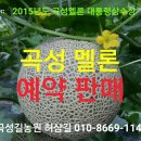 [판매중]곡성멜론 예약판매합니다. 이미지