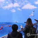 울산고래생태체험관 연합뉴스