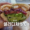 샐러디치오도씨(강동점) | 양재역 샌드위치 [샐러디치 오도씨] n번째 방문, 맛있고 알차다!