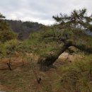 구암동387 이미지