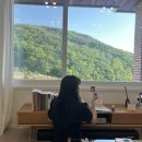 해이랑마파람 이미지