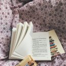 꽃이야기 | [5세 책육아] 그레이트북스 이야기꽃할망 실구매 후기｜책벌레 아이 반응까지